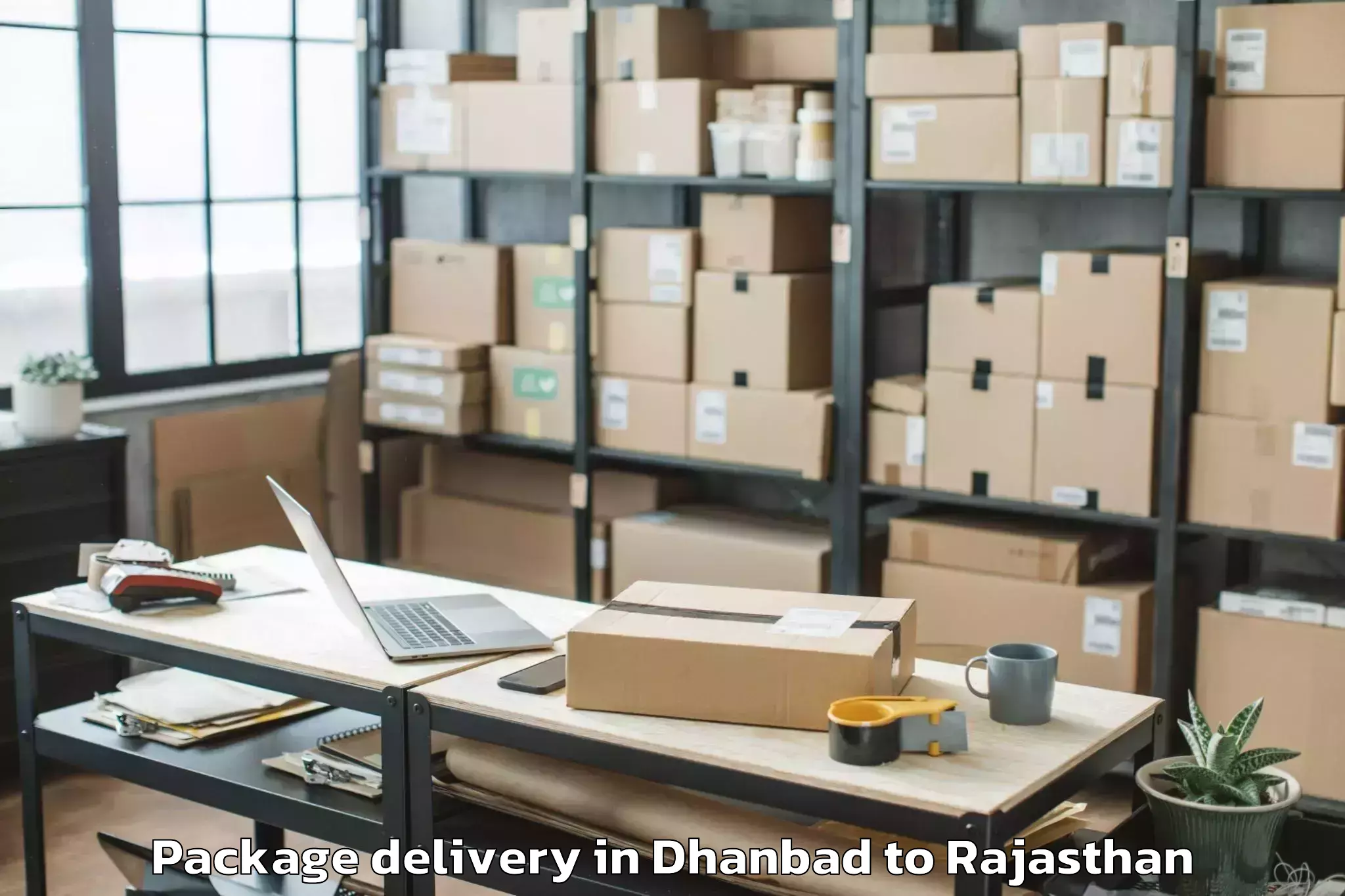 Book Dhanbad to Bhindar Package Delivery Online